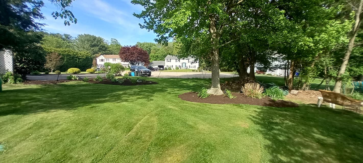 Seasonal Cleanups