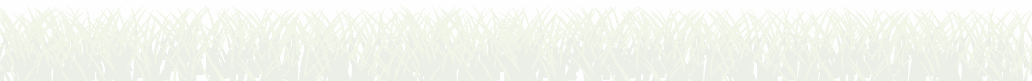 Turf