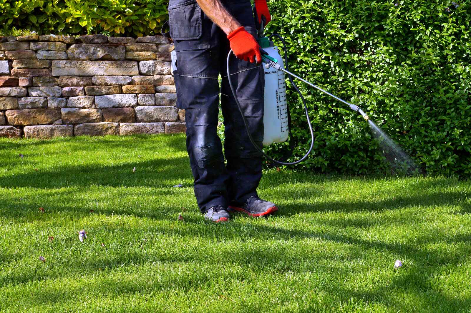 Invasive Plant & Herbicide Application